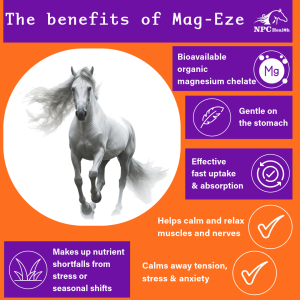 Benefits of Mag-Eze magnesium for New Zealand horses.