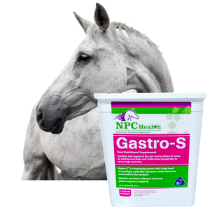 Gastro-S is completely natural for equine gut ulcers and preventative care naturally.