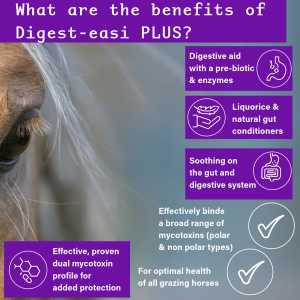 The benefits and ingredients of digest-easi PLUS digestive aid and mycotoxin binder for horses grazing New Zealand pastures.