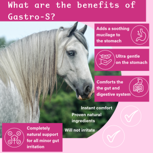 Gastro-S the equine gut supplement that supports and soothes the horses' stomach for all minor gut irritation and stomach ulcers.