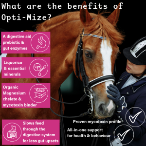 Opti-mize is a supplement aiding digestive health, providing mycotoxin protection, essential minerals for New Zealand horses at pasture who get grass affected.