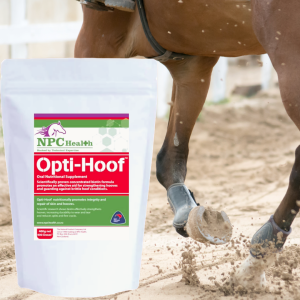 Biotin supplement for horses' hooves to boost strength, durability and maintain better hoof health.