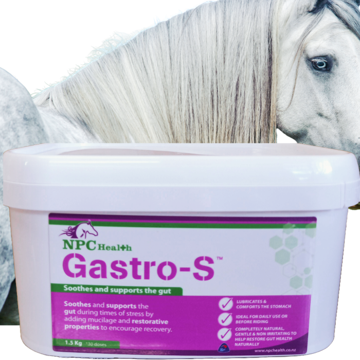 Natural Ulcer supplement for horses