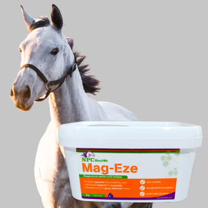 Magnesium For Horses Providing The Best Chelate For Absorption And Fast Acting Results.