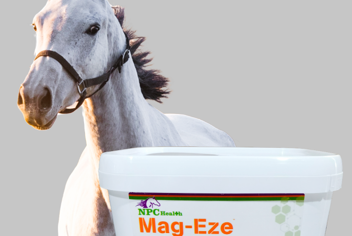 Magnesium For Horses Providing The Best Chelate For Absorption And Fast Acting Results.