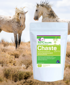Chaste berry for horses with hormonal issues, Cushing disease or moody mare.