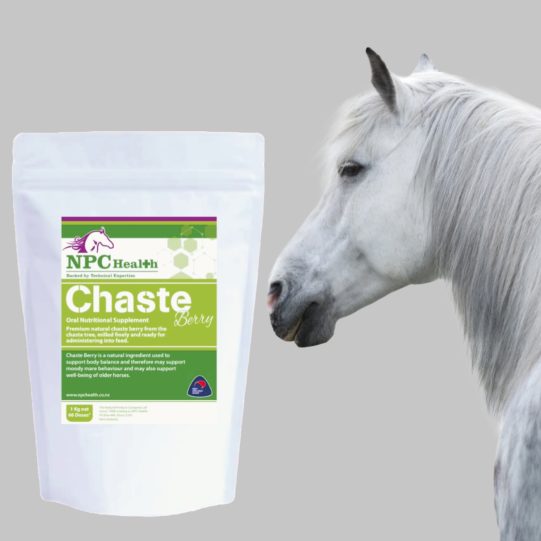 Chaste berry for Cushing’s disease