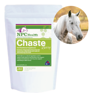 Chaste berry powder natural supplement for horses.