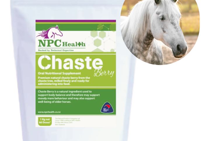 Chaste berry powder natural supplement for horses.