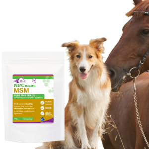 MSM supplement for horses and dogs.