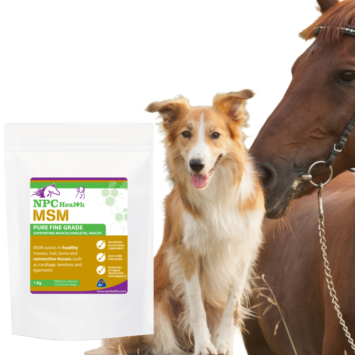 MSM supplement for horses and dogs | Muscles and joints