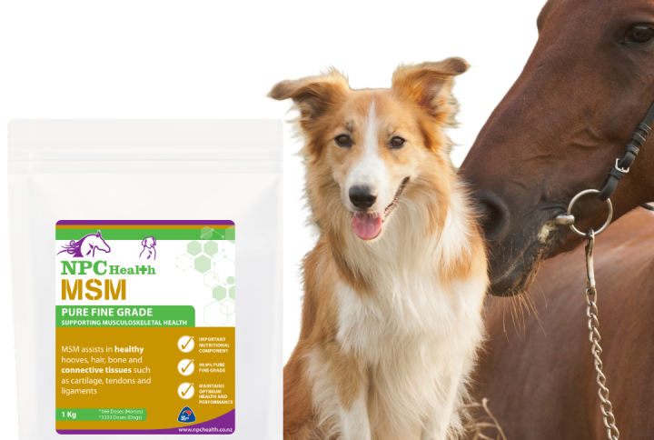 MSM supplement for horses and dogs.