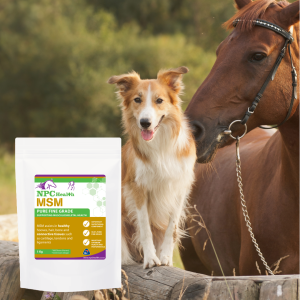 Horse and dog joint care made in New Zealand.