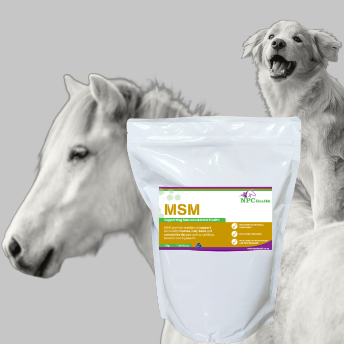 Msm Supplement For Horses And Dogs | Muscles And Joints