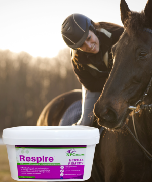 Respiratory supplement for horses.