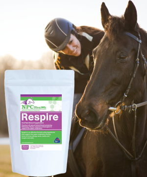 Respiratory supplement for horses.