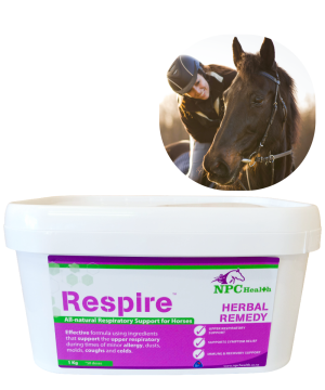 Respire respiratory supplement for horses.
