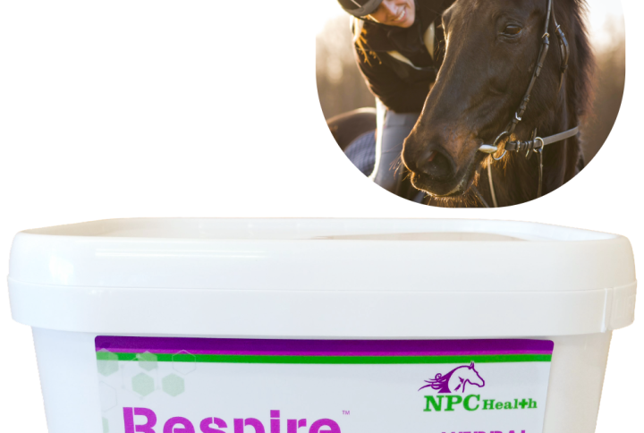 Respire respiratory supplement for horses.