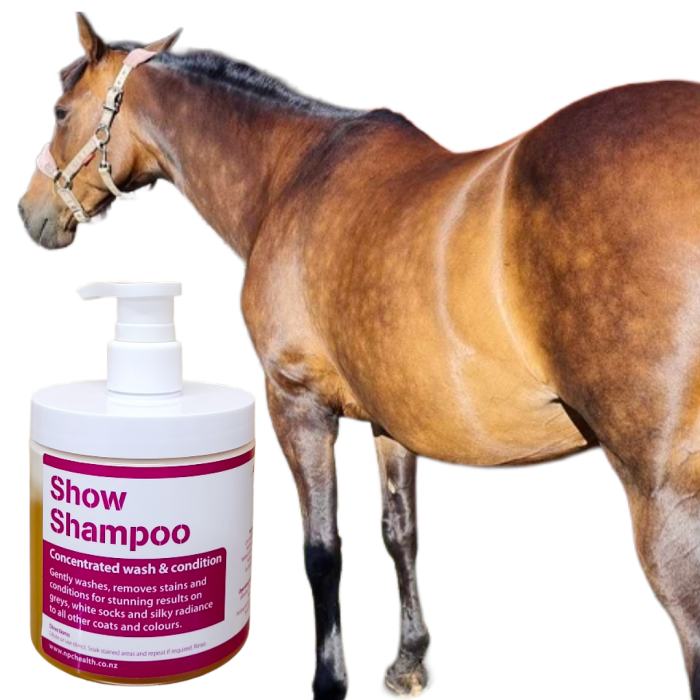 Show Shampoo For Horses | Wash, Condition And Detangle All In One