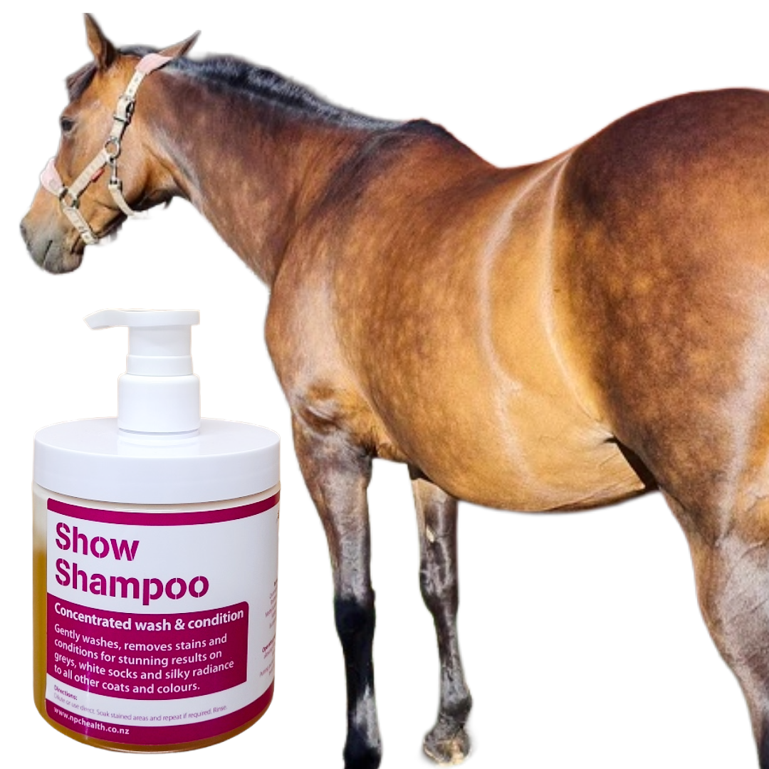 Gentle horse shampoo
