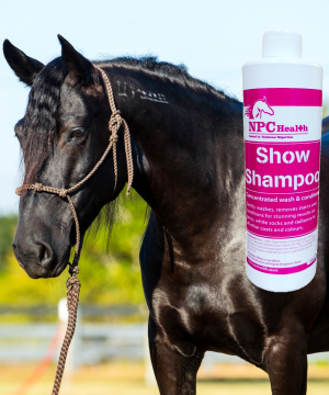 Show shampoo for horses that gently cleanses, conditions and shines with natural ingredients.