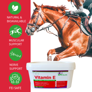 Vitamin e for horses in a natural supplement form.