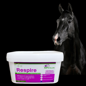 Equine Respiratory Supplement For Runny Noses, Coughs And Colds.