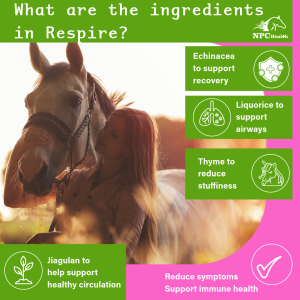 Respire a respiratory supplement containing premium natural, herbal ingredients for New Zealand horses.
