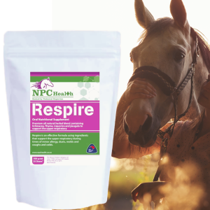 Respire natural respiratory care for horses.