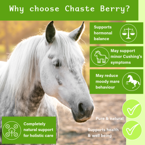 Chaste tree powder for New Zealand horses to support health and well being.
