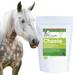 Pure natural chaste berry powder for management of cushings disease, long coats and moody mares,