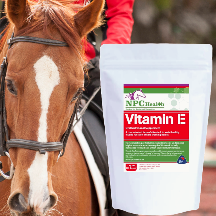 Vitamin E for horses | Powerful natural supplement
