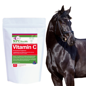 Vitamin C for horses to boost natural immunity and improve healing.