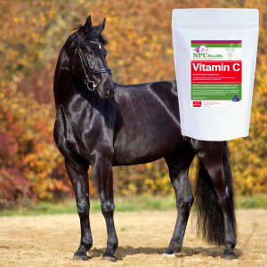Strengthen immunity and health in horses that are stressed, tired or rundown.