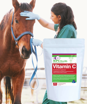 Vitamin C for horses to assist health when unwell, sickness or immune compromised.