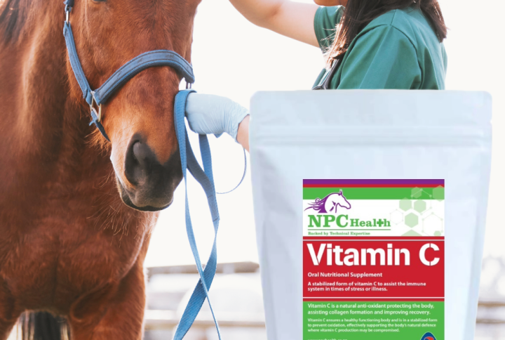 Vitamin C for horses to assist health when unwell, sickness or immune compromised.