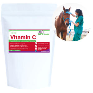 Vitamin C for horses to boost natural defences.