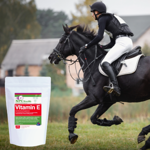 Vitamin E for hard working horses.