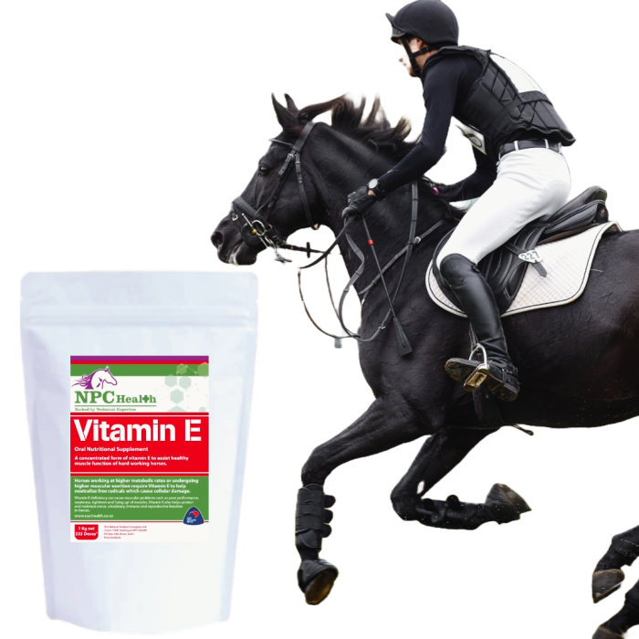 Vitamin E for horses