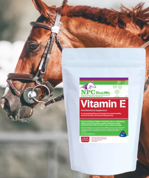 Vitamin E for horses to muscle health, fertility, immune and overall healthy function.