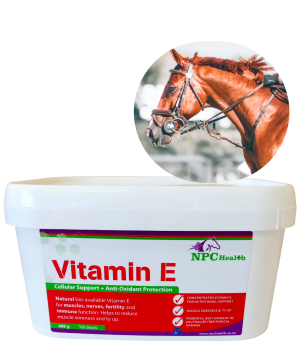 Vitamin E natural supplement for horses.