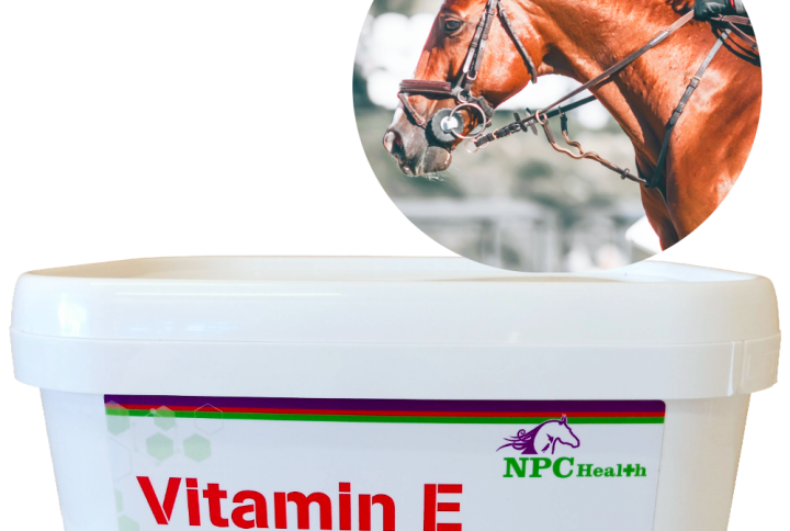 Vitamin E natural supplement for horses.