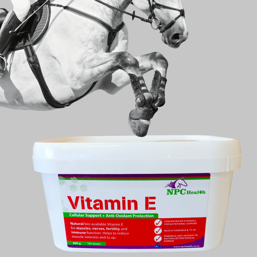 Vitamin E for horses.