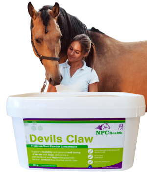 Devils Claw For Horses In High Potency Powder Form To Help Reduce Pain And Inflammation.