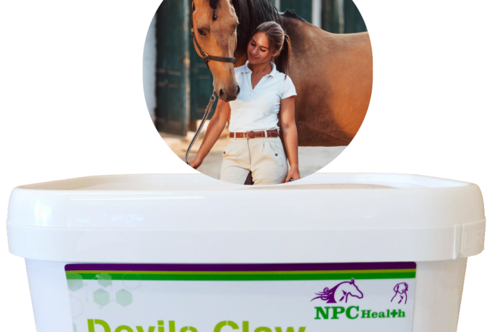 Devils claw high strength powder for horses.