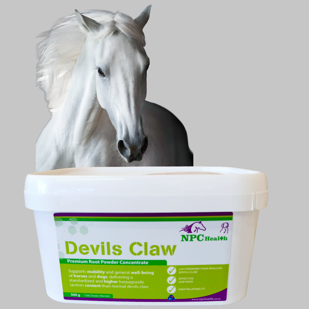 Devils claw for horses in pain.