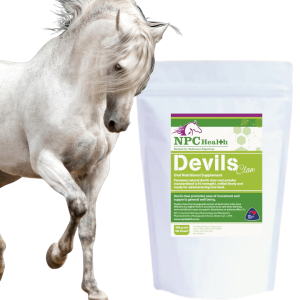 Pure devils claw root powder for New Zealand horses and ponies with joint discomfort, pain or inflammation.
