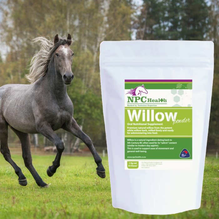 Willow powder for horses | natural horse