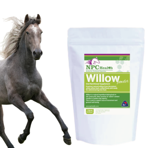 Willow powder for horses to support ease of movement.