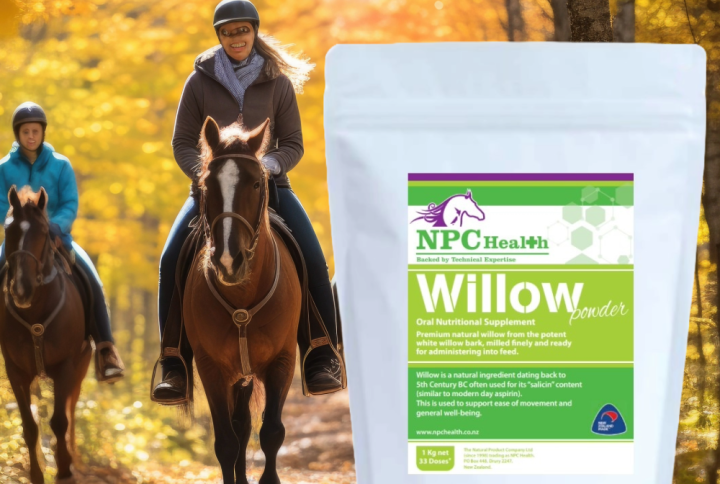 Willow powder for horses.